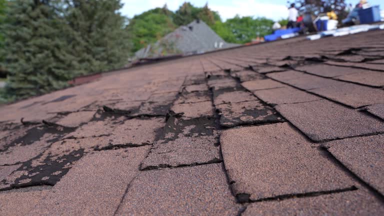 Roof Insulation in Windsor, IL
