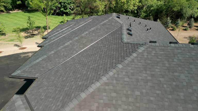 Best Chimney Flashing Repair  in Windsor, IL