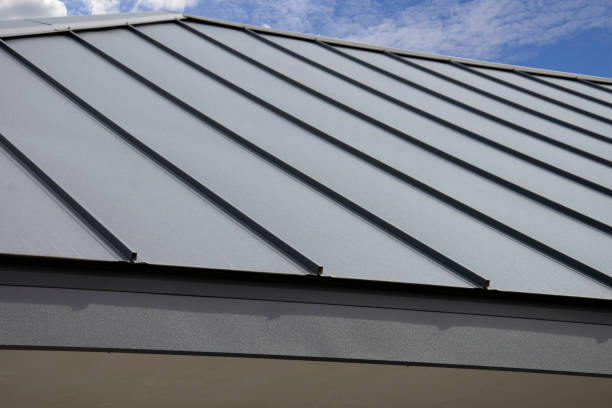 Best Asphalt Shingles Roofing  in Windsor, IL