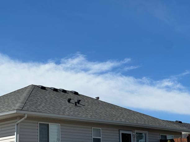 Best Emergency Roof Repair  in Windsor, IL